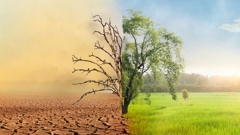 Technologien gegen den Klimawandel Technologien gegen den Klimawandel